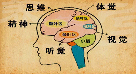 介绍癫痫病因都有哪些